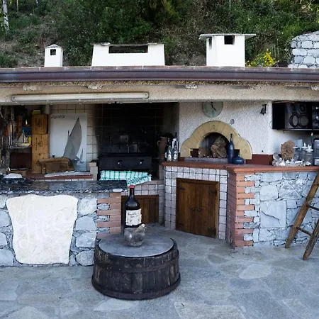 Villa Lice Verici