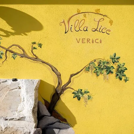 Lice Verici *