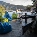 Lice Verici Casarza Ligure