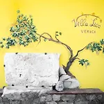 Villa Lice Verici