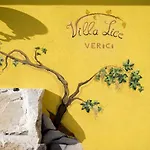 Lice Verici *