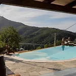 Lice Verici Casarza Ligure