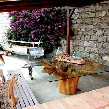 Lice Verici Villa Casarza Ligure