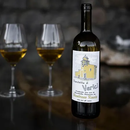 فيلة Lice Verici كاسارزا ليغير