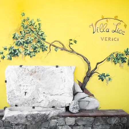 فيلة Lice Verici