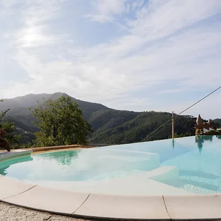 Lice Verici كاسارزا ليغير