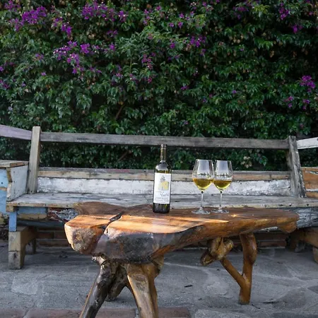 Lice Verici كاسارزا ليغير