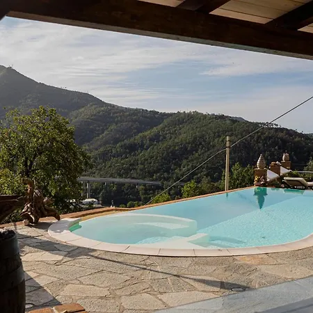 Lice Verici Casarza Ligure