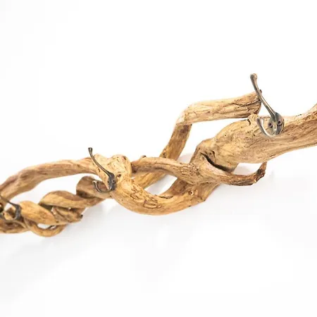 Lice Verici كاسارزا ليغير