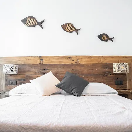 Lice Verici فيلة كاسارزا ليغير