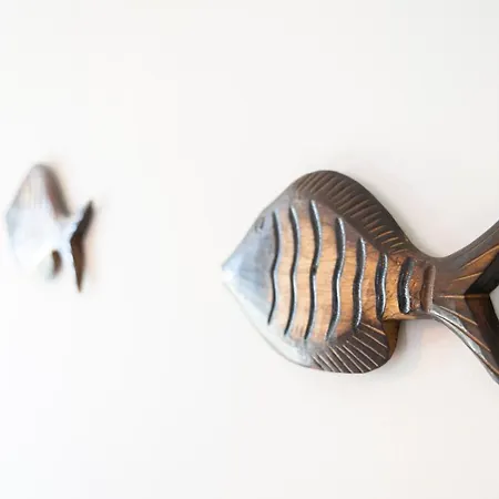 Lice Verici كاسارزا ليغير