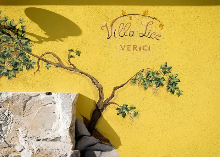 Lice Verici *